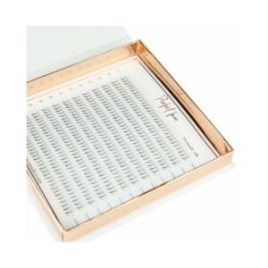 Perfect fan 6D – C Promade Roxils