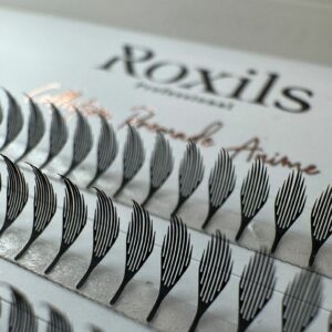Perfect FAN 6D – MIX (Copie) (Copie) Promade Roxils